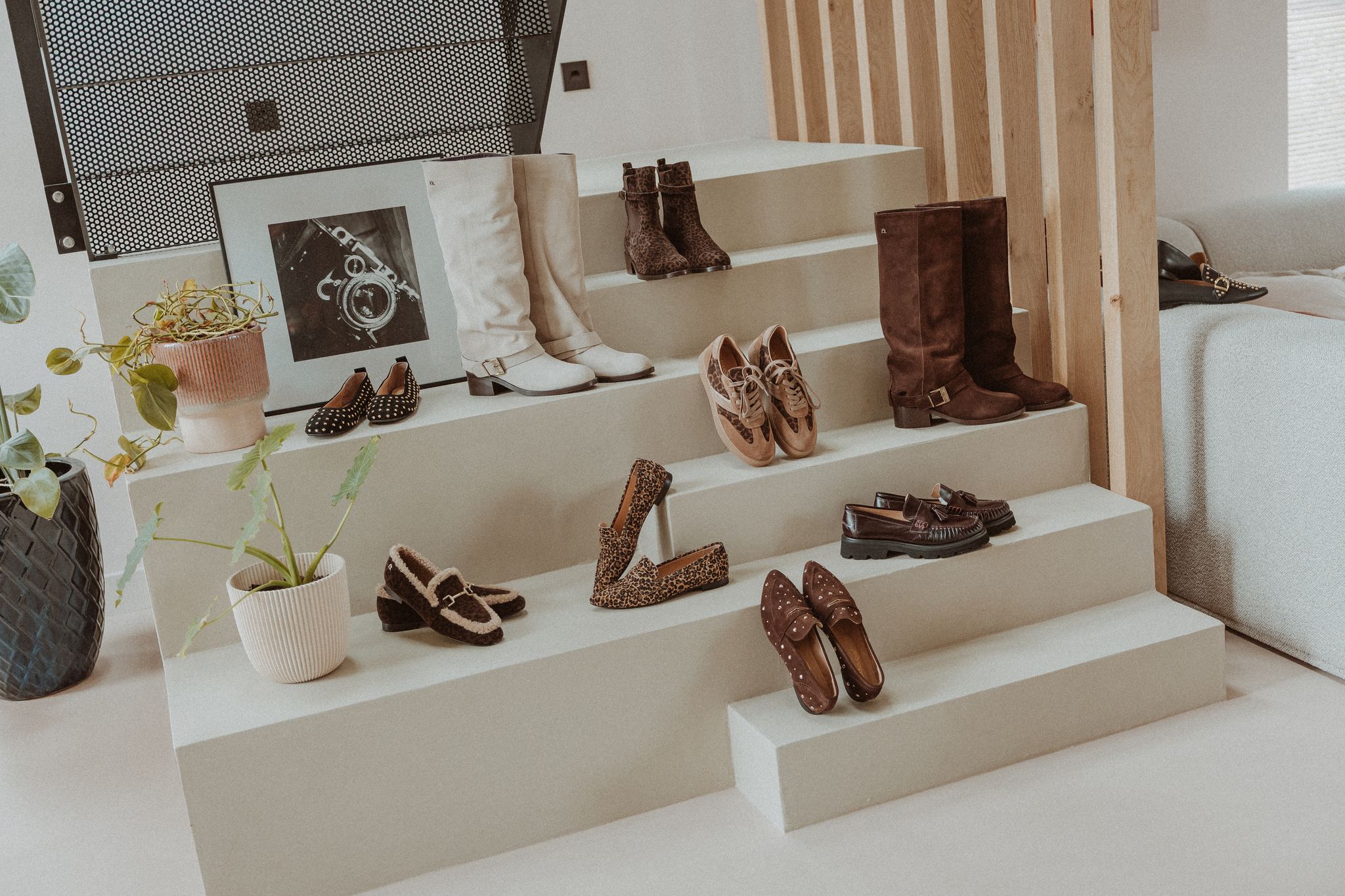 Schoenen t/m maat 45 foell trends
